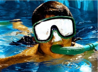 Visita guiada de snorkel